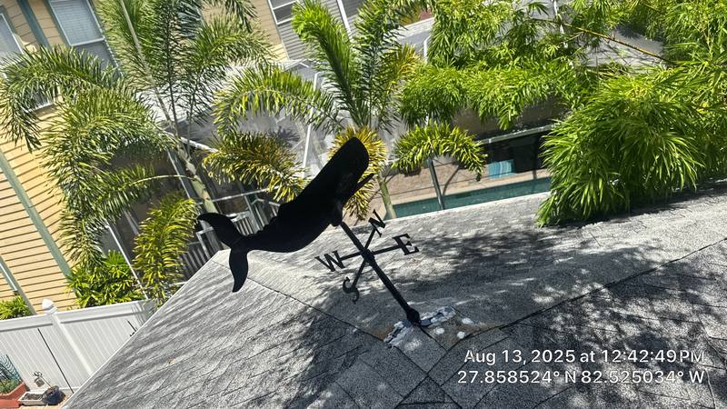 completed roofing project in Tampa FL