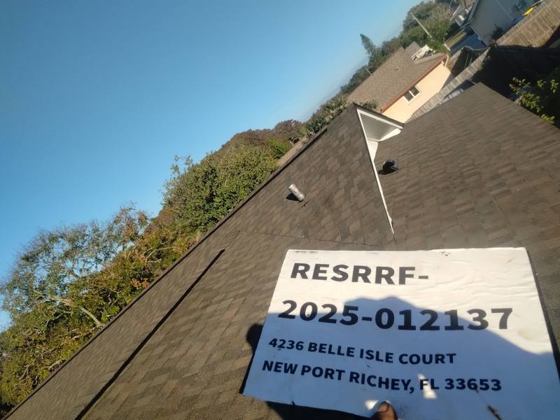 roofing project near Belle Isle Ct. in New Port Richey