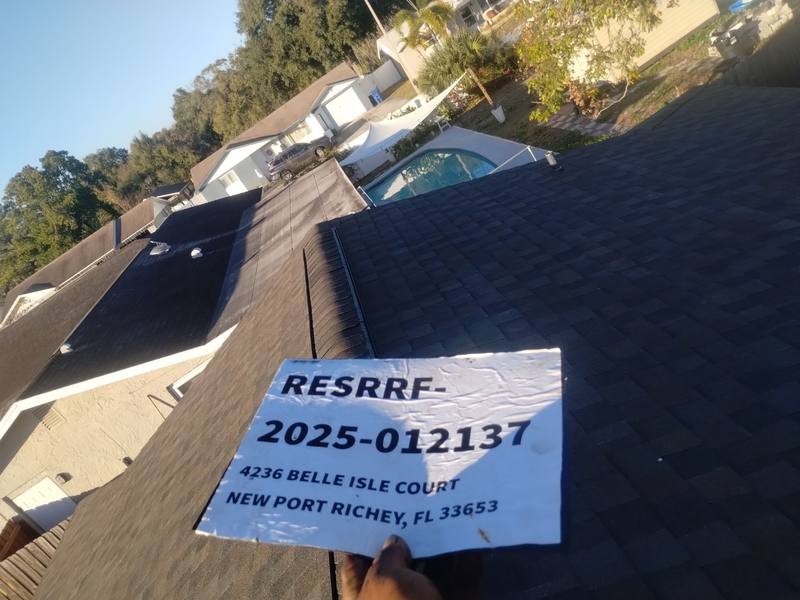 shingle roof replacement in New Port Richey, Florida