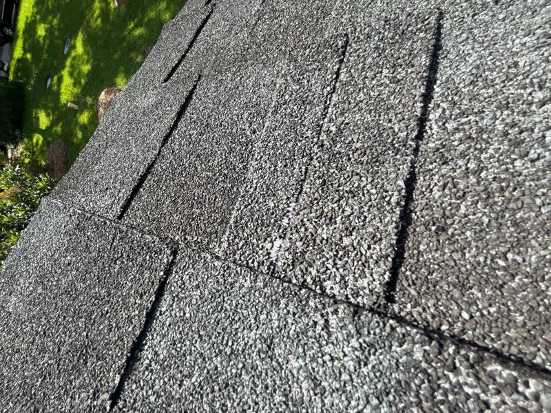 completed roofing project in Lutz FL