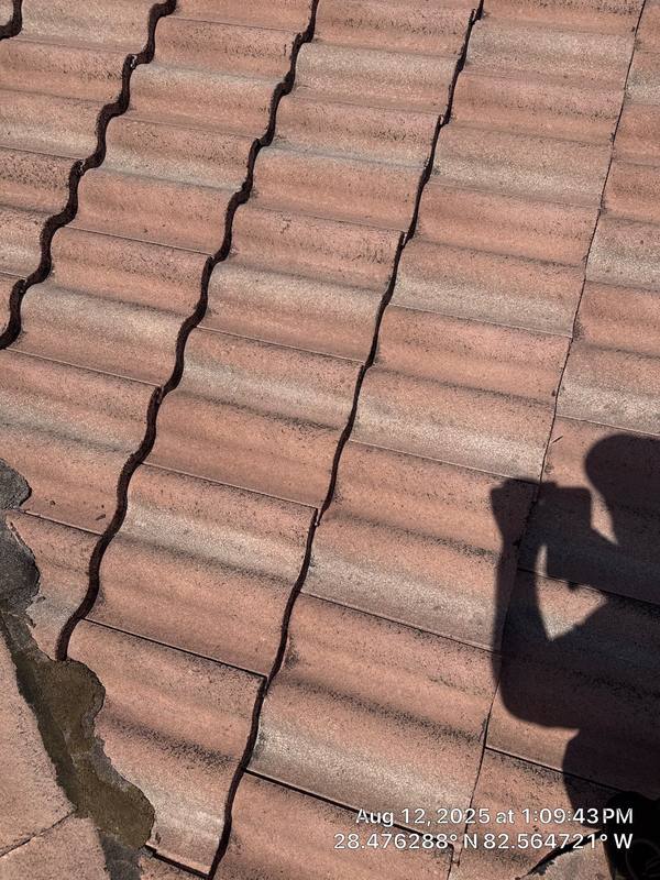 completed roofing project in Spring Hill FL