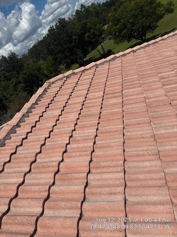 roofing project near Bayshore Ct in Spring Hill