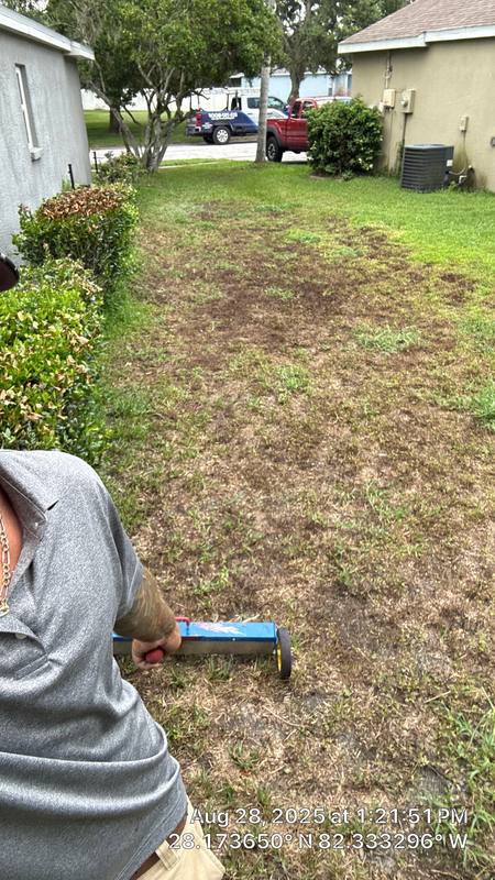 roofing project near Timber Trace Dr in Wesley Chapel