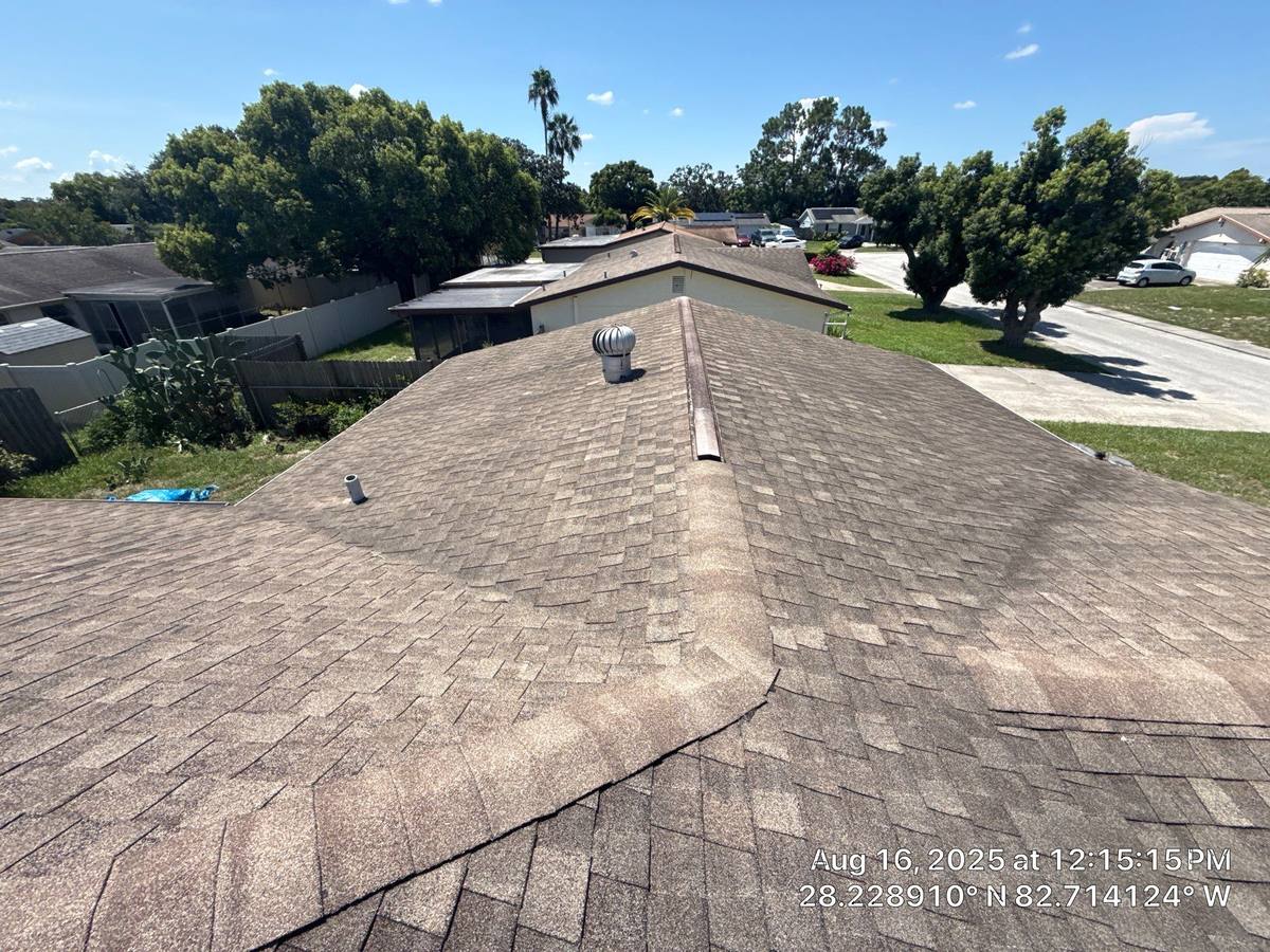 shingle roof replacement in New Port Richey, Florida