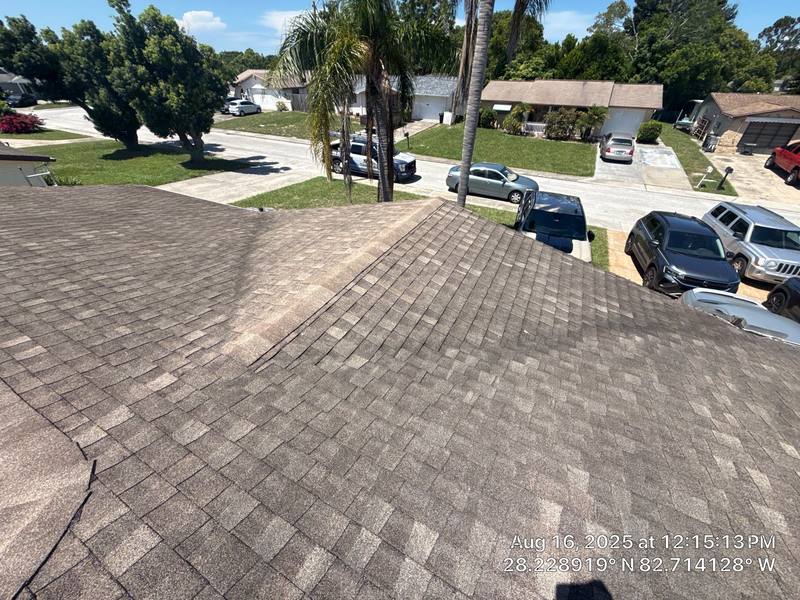 shingle roof replacement in New Port Richey, Florida