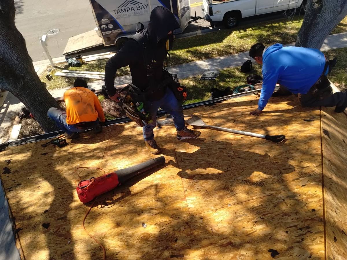 shingle roof replacement in Tampa, Florida