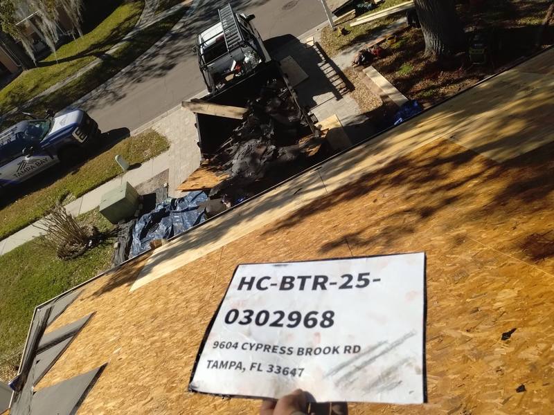 shingle roof replacement in Tampa, Florida
