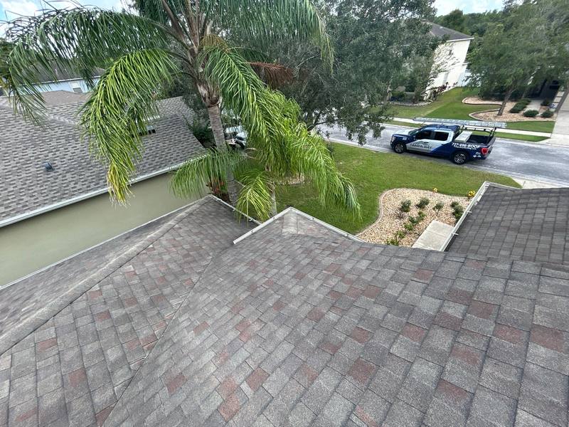 shingle roof replacement in Hudson, Florida