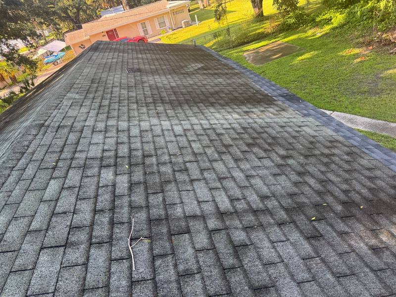 roof replacement in Tampa, Florida