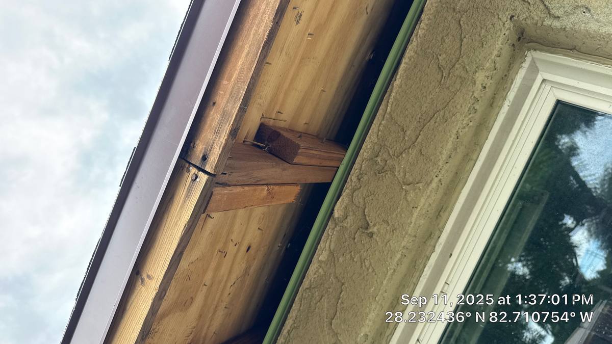 shingle roof replacement in New Port Richey, Florida
