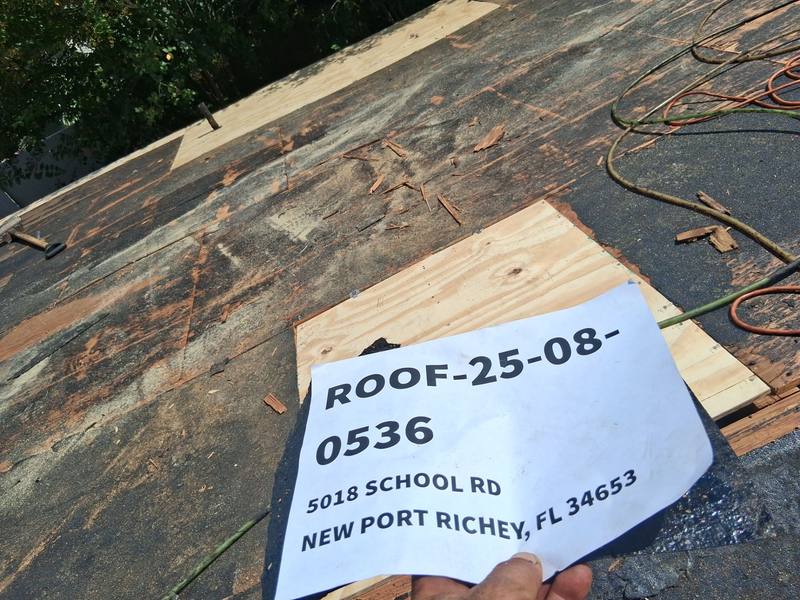 shingle roof replacement in New Port Richey, Florida