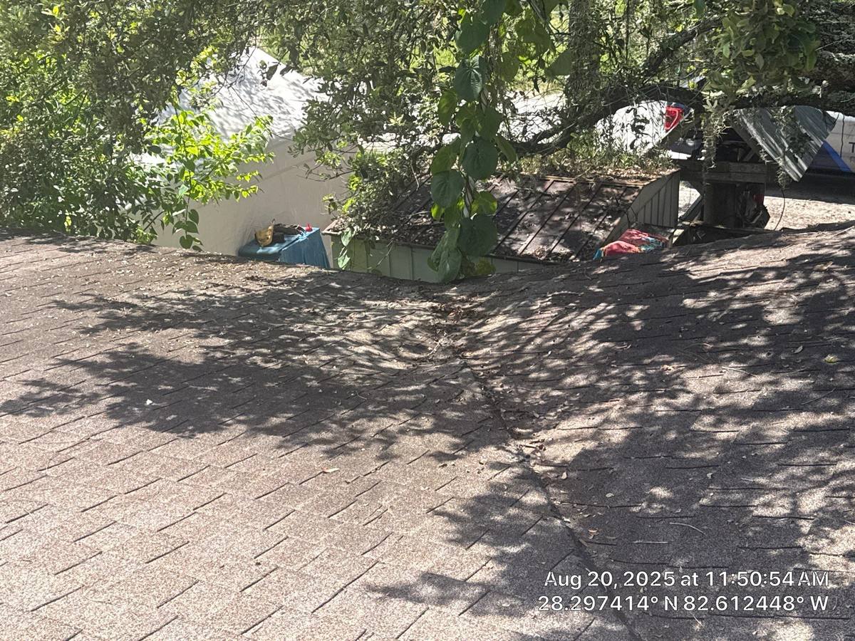 shingle roof replacement in New Port Richey, Florida