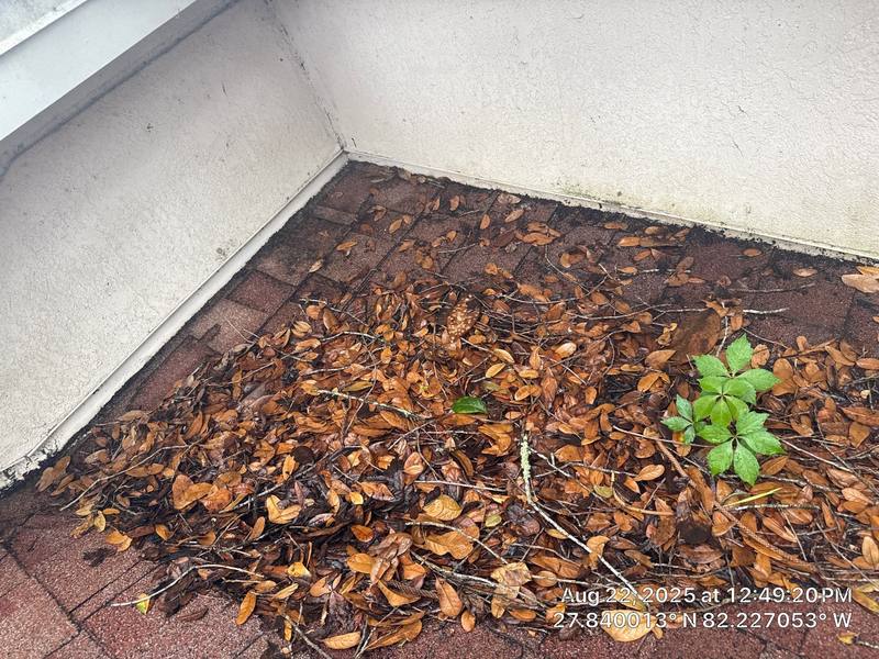 residential shingle roof replacement by Hloska Roofing in Lithia
