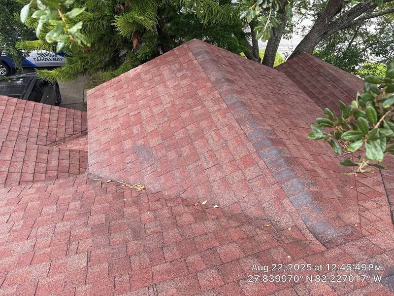 completed roofing project in Lithia FL