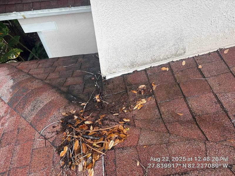 residential shingle roof replacement by Hloska Roofing in Lithia