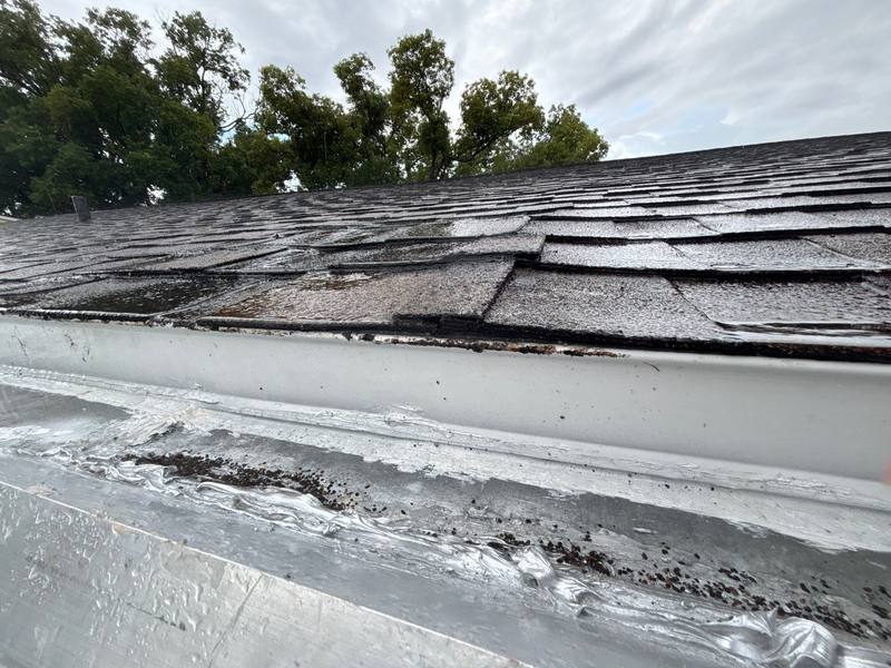roof repair in New Port Richey, Florida