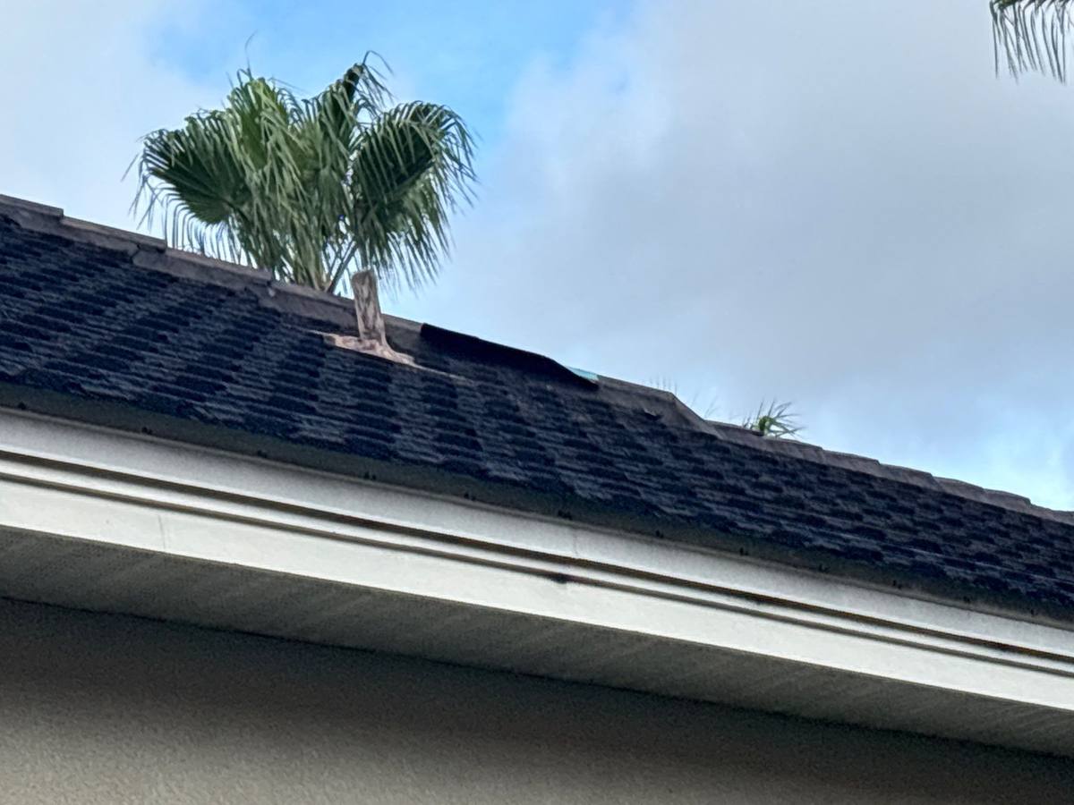 roof repair in Tampa, Florida