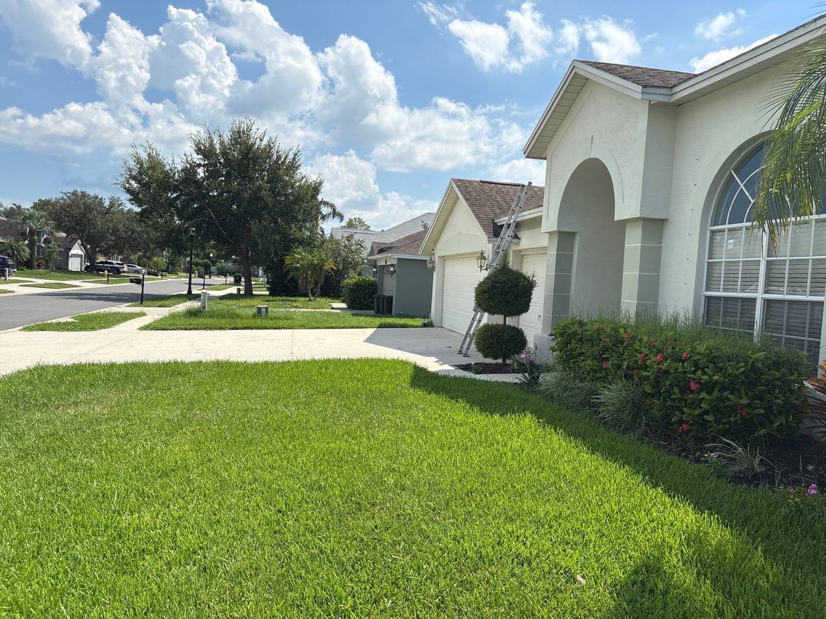 roof replacement in Oldsmar, Florida