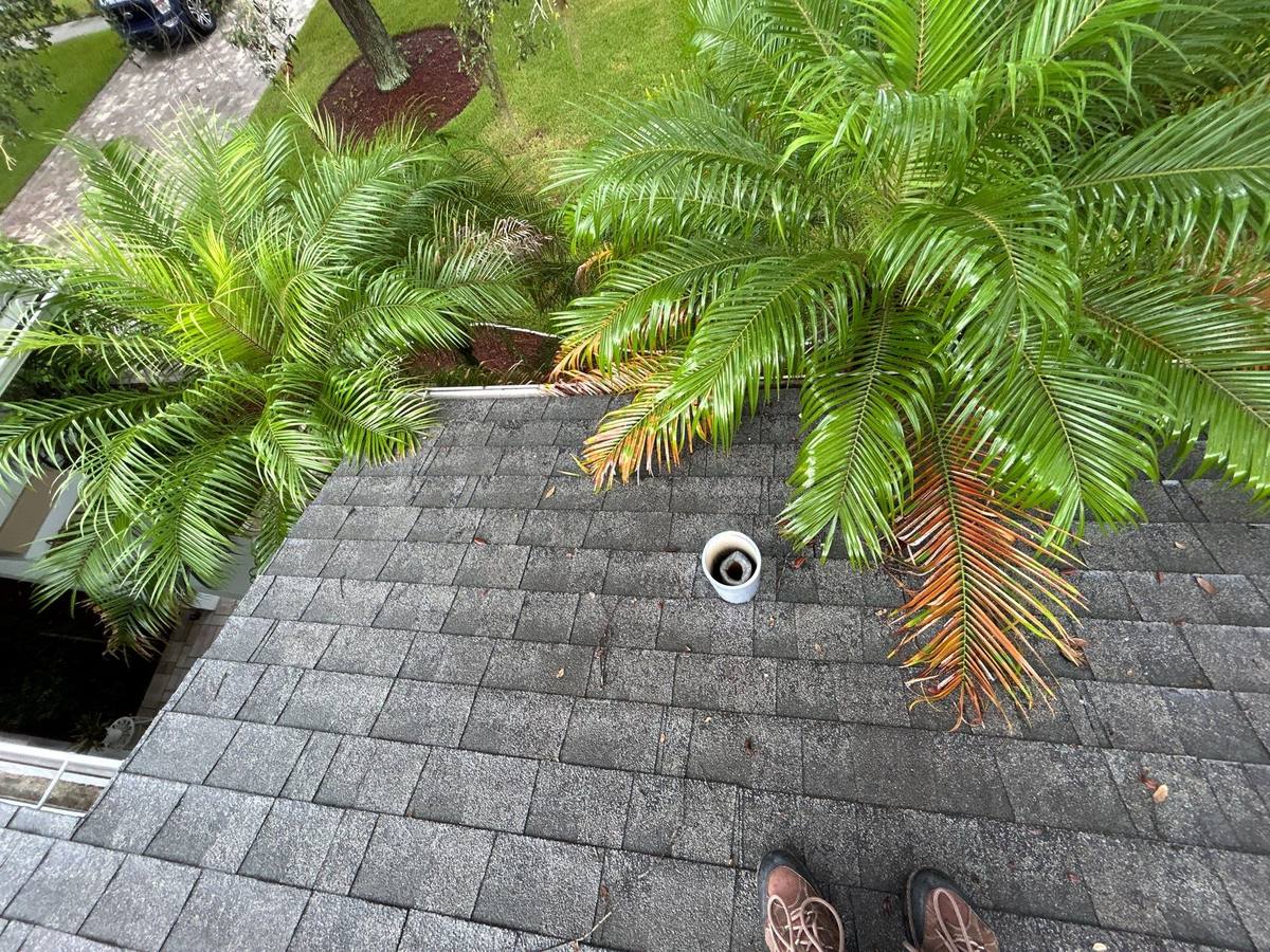 shingle roof replacement in Hudson, Florida