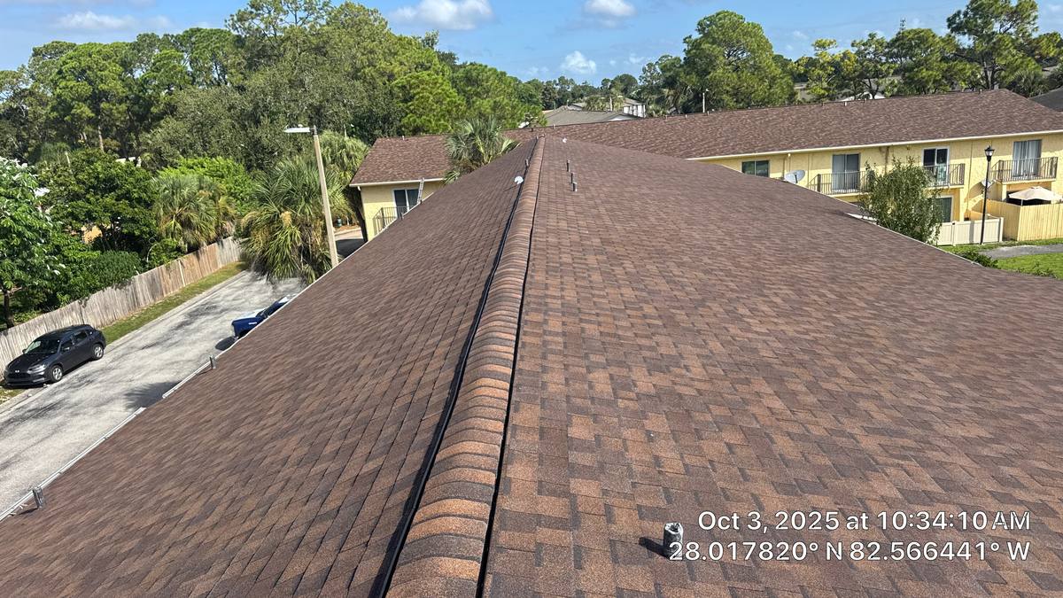 roof repair in Tampa, Florida