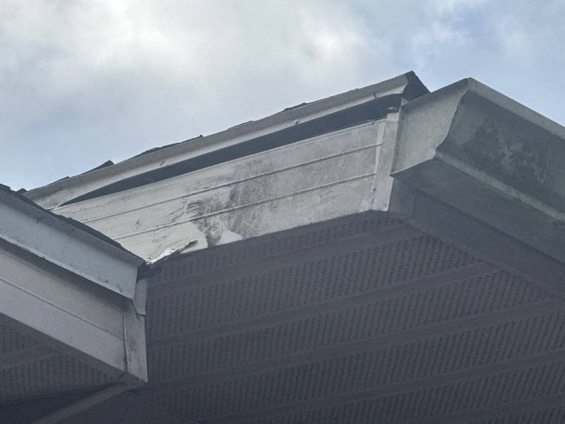 roof repair in Tampa, Florida