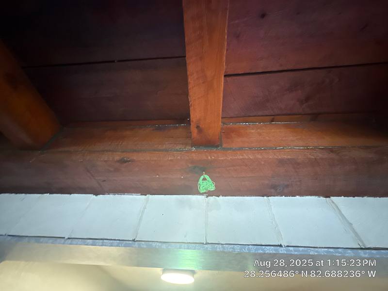 roof repair in New Port Richey, Florida