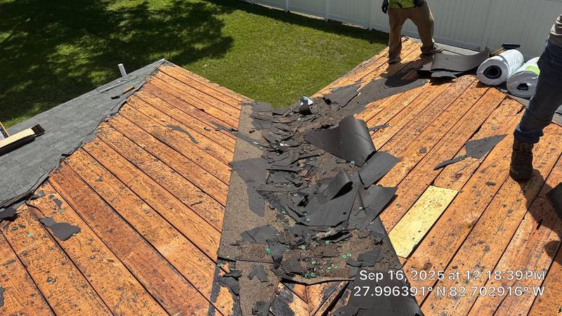 residential shingle roof replacement by Hloska Roofing in Safety Harbor
