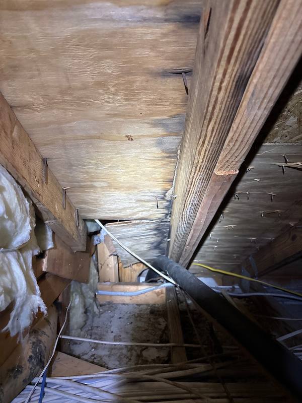 roofing project near Golden Prairie Dr in Tampa