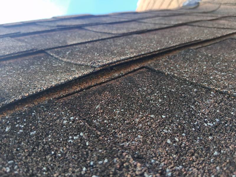 roofing project near Dartmouth Ave N in St. Petersburg