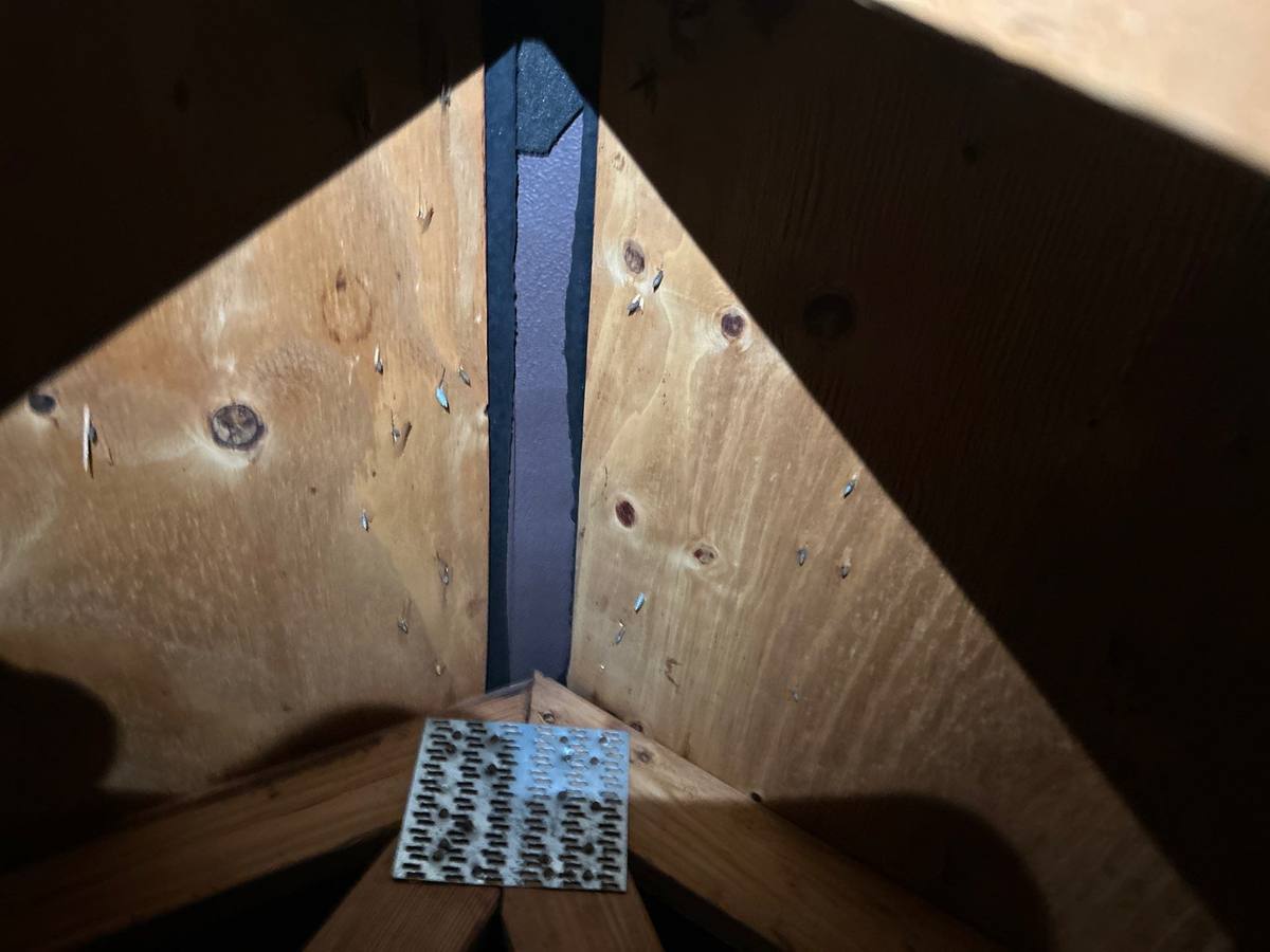 roof repair in Tampa, Florida