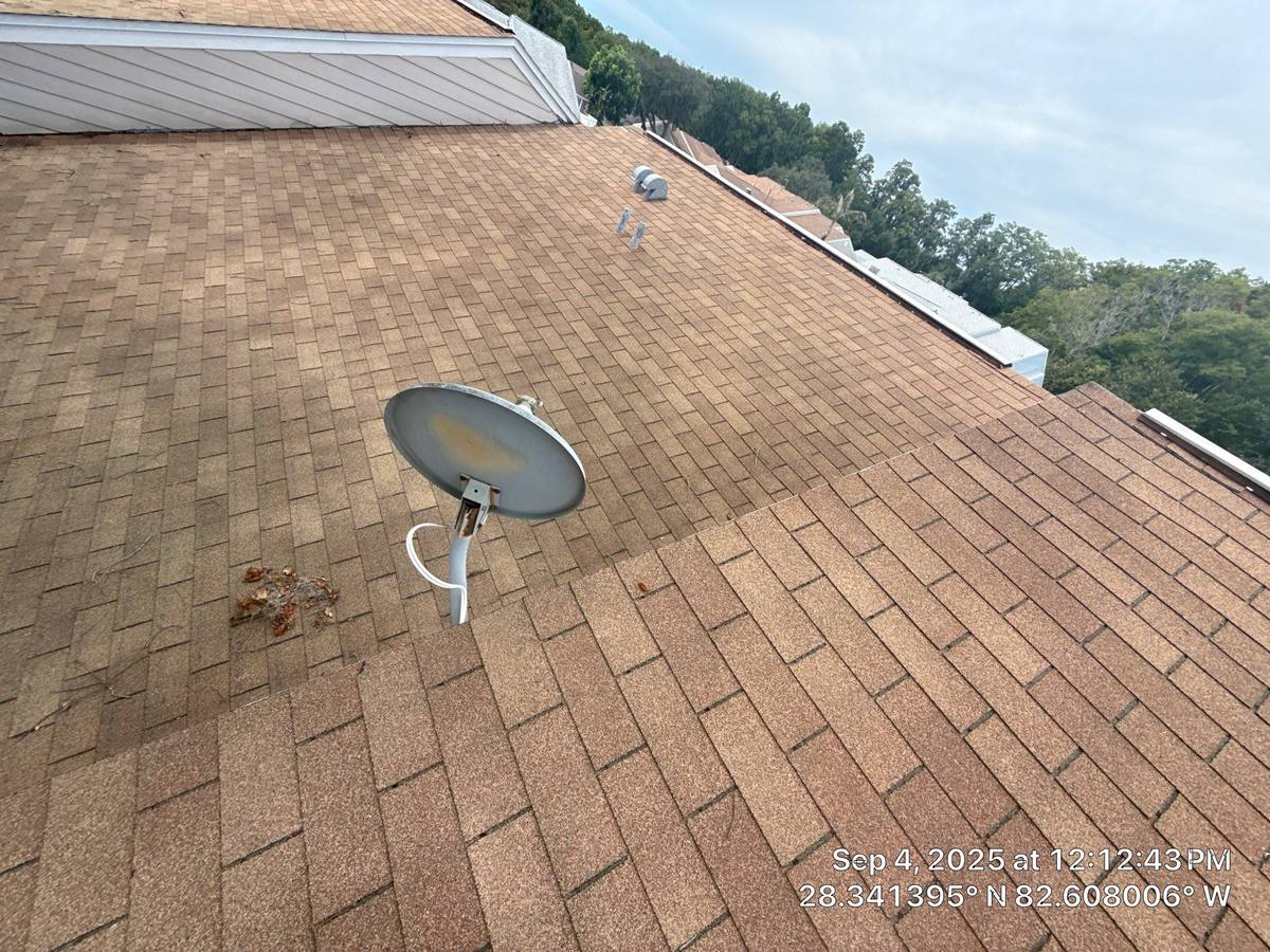 shingle roof replacement in Hudson, Florida