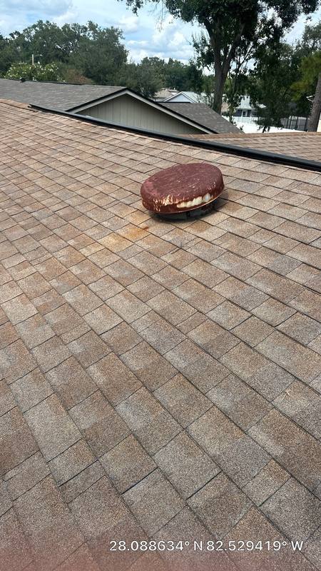 roofing project near Brushwood Dr in Tampa