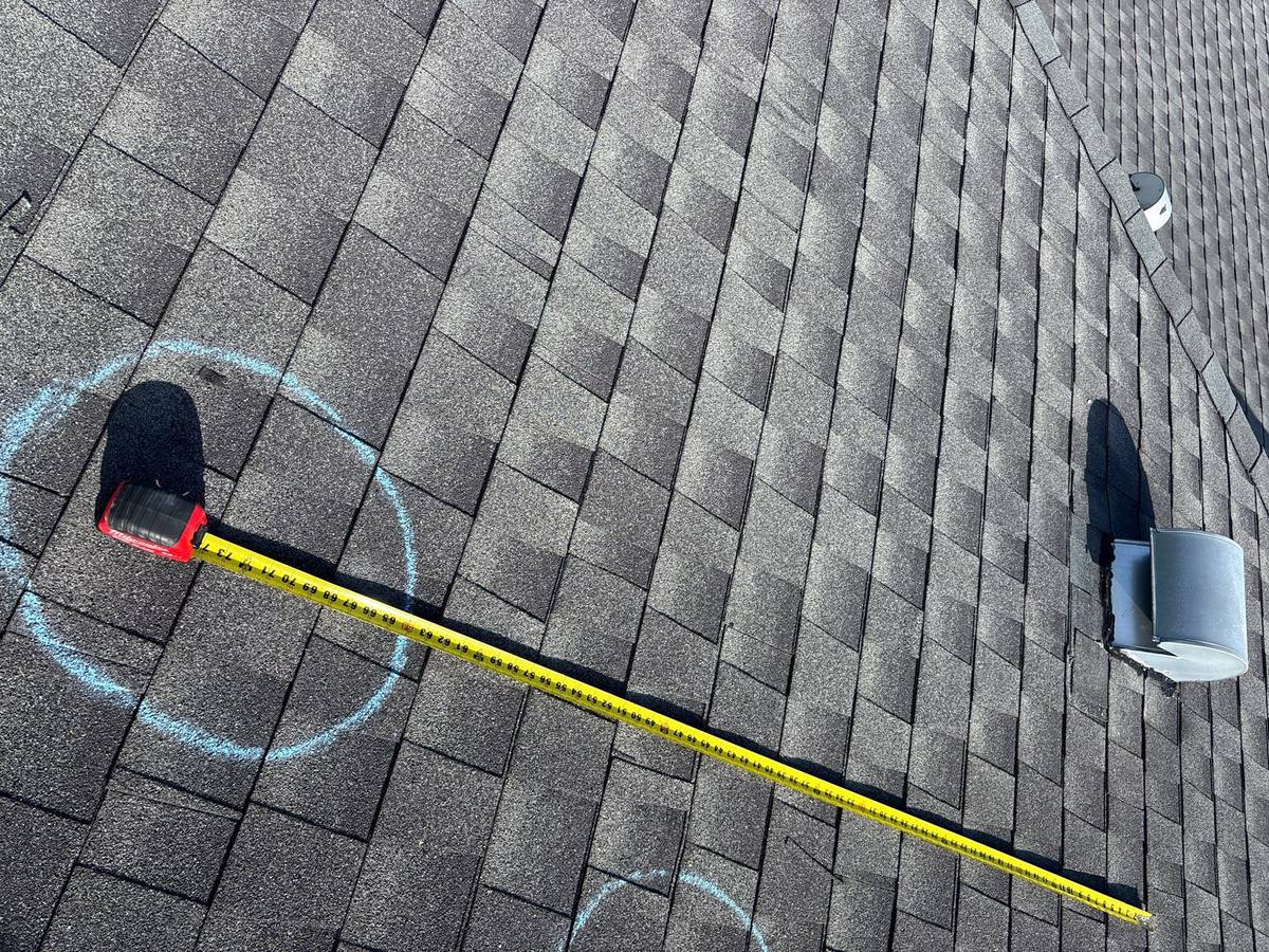 shingle roof replacement in Wesley Chapel, Florida
