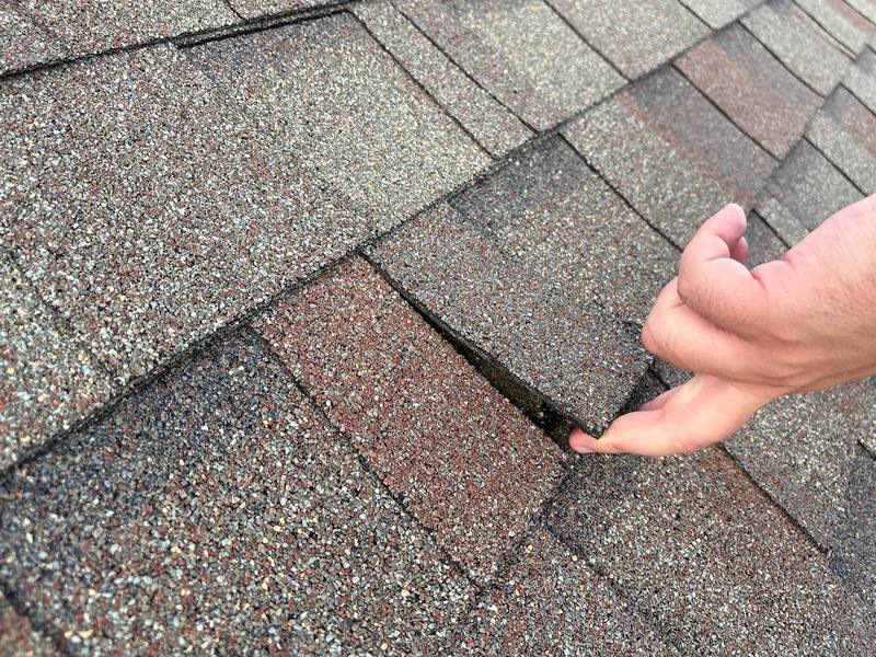 shingle roof replacement in Brandon, Florida