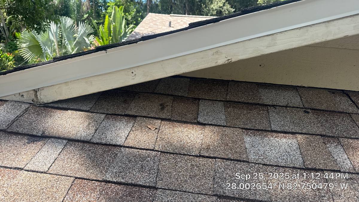 shingle roof replacement in Clearwater, Florida