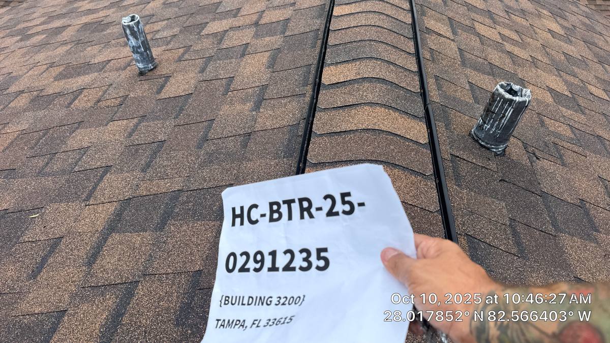shingle roof replacement in Tampa, Florida