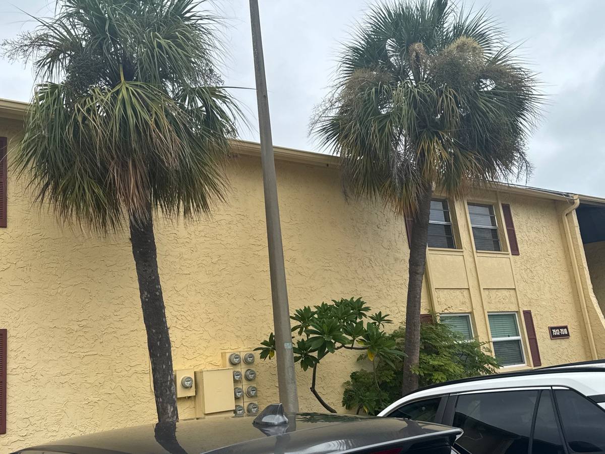 shingle roof replacement in Tampa, Florida