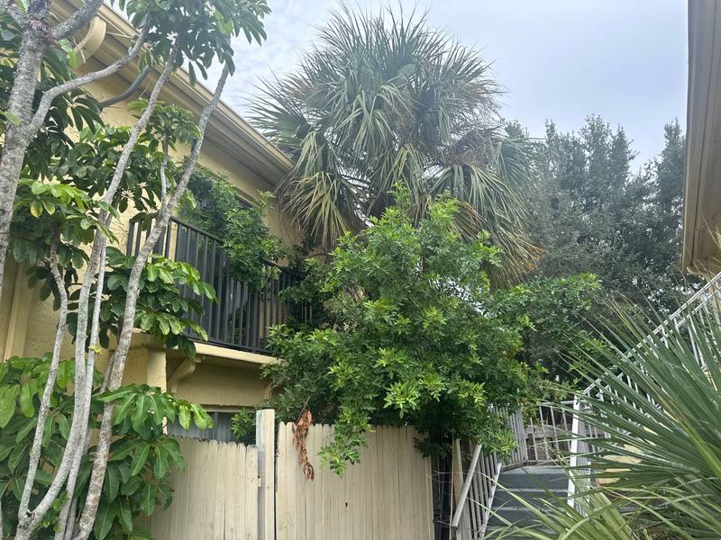 completed roofing project in Tampa FL