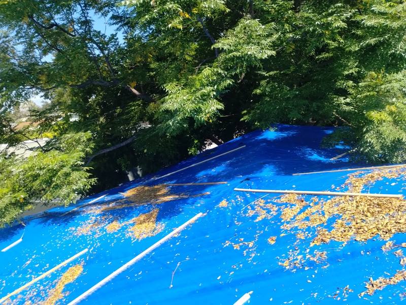 roof replacement in St. Petersburg, Florida