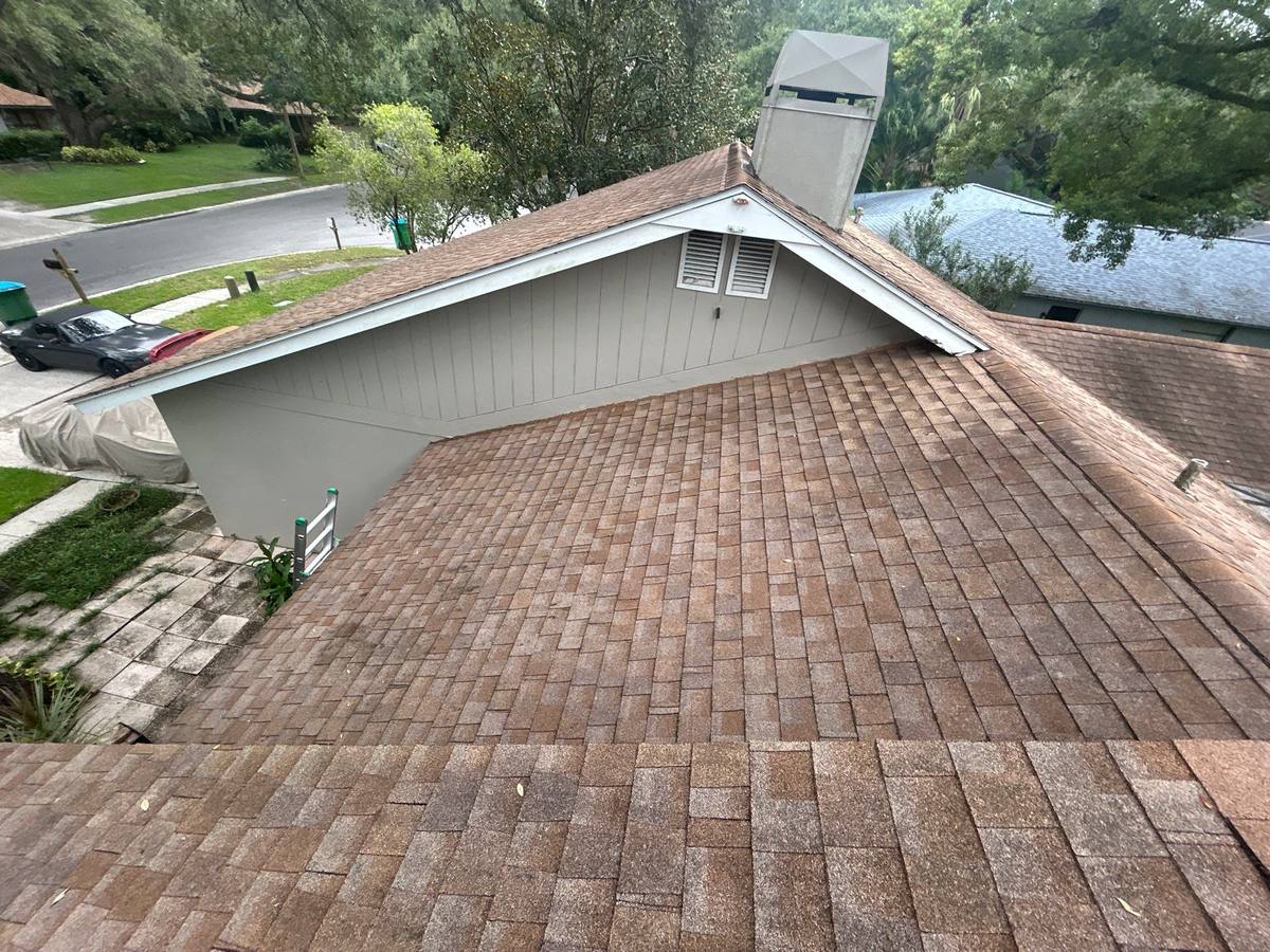 shingle roof replacement in Palm Harbor, Florida