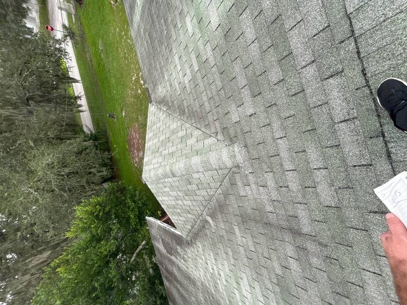 roofing project near N 19th St in Lutz