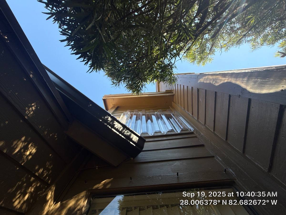 roof replacement in Safety Harbor, Florida