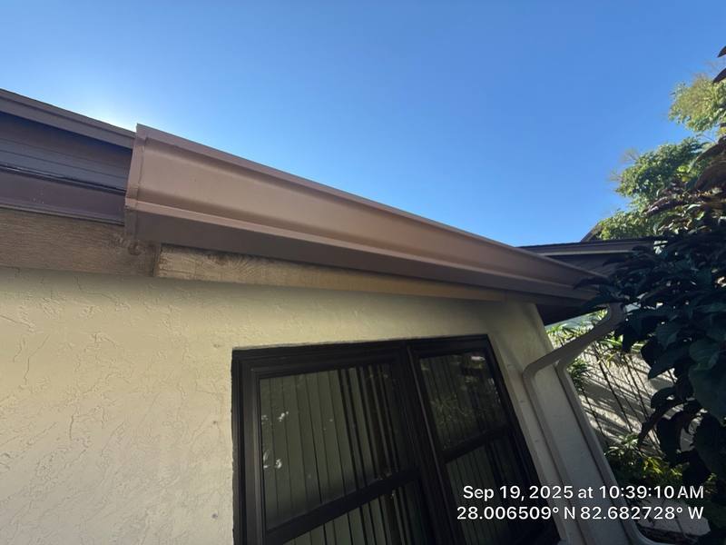 roofing project near Philippe Ct in Safety Harbor