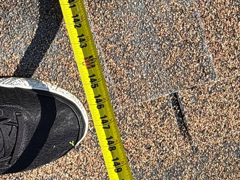 shingle roof replacement in Tampa, Florida