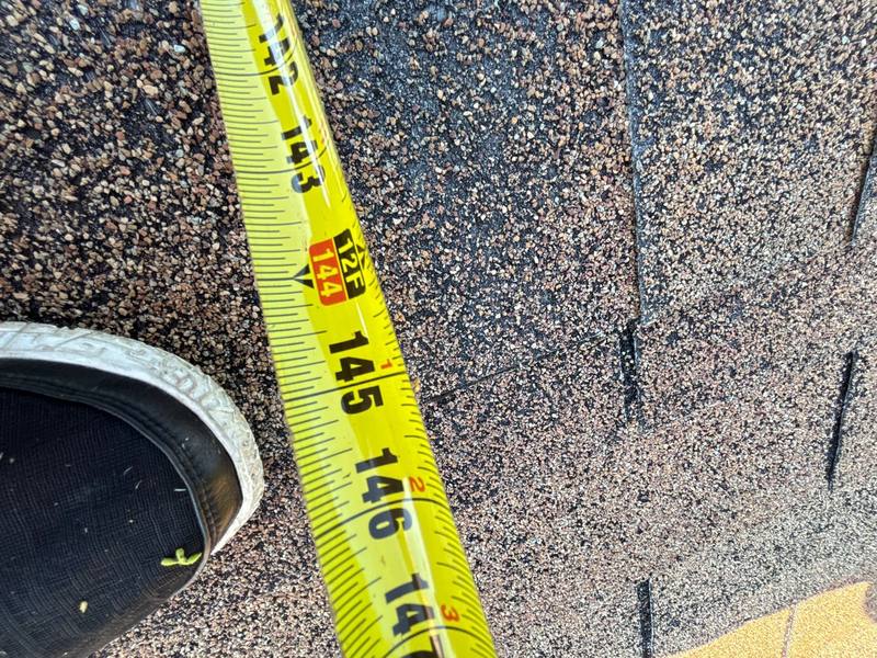 residential shingle roof replacement by Hloska Roofing in Tampa