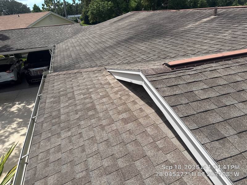 residential shingle roof replacement by Hloska Roofing in Tampa