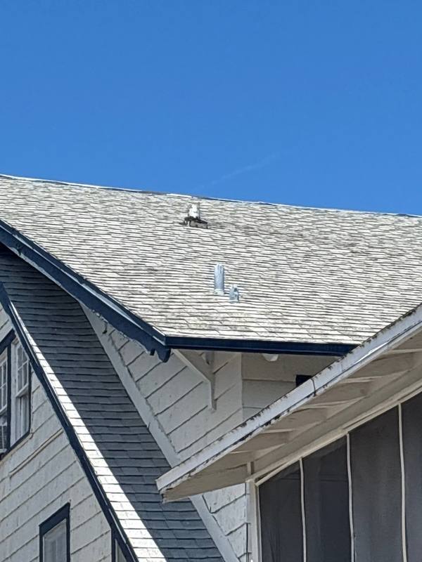 roofing project near 32nd Ave N in St. Petersburg