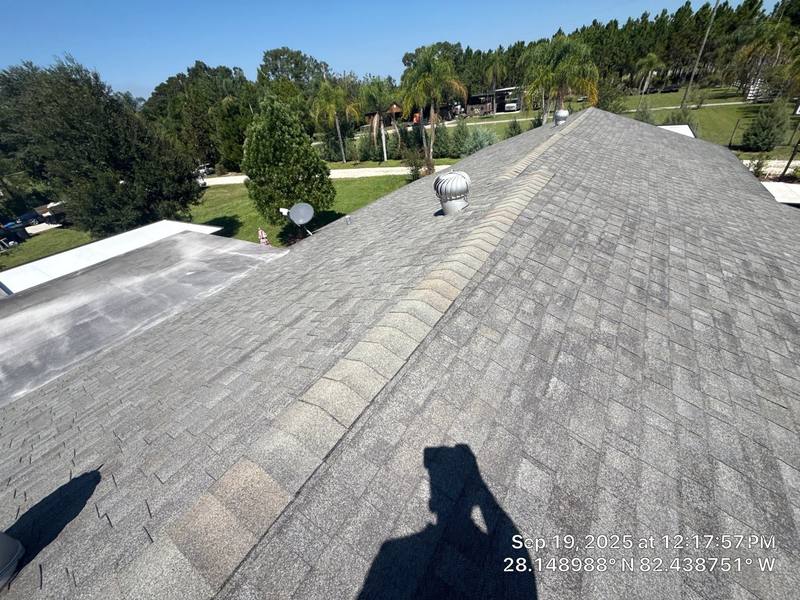 residential shingle roof replacement by Hloska Roofing in Lutz