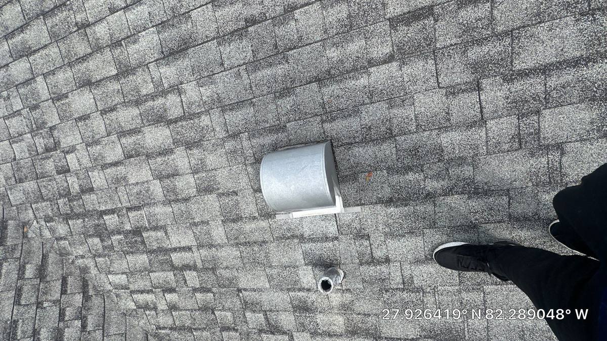 shingle roof replacement in Brandon, Florida