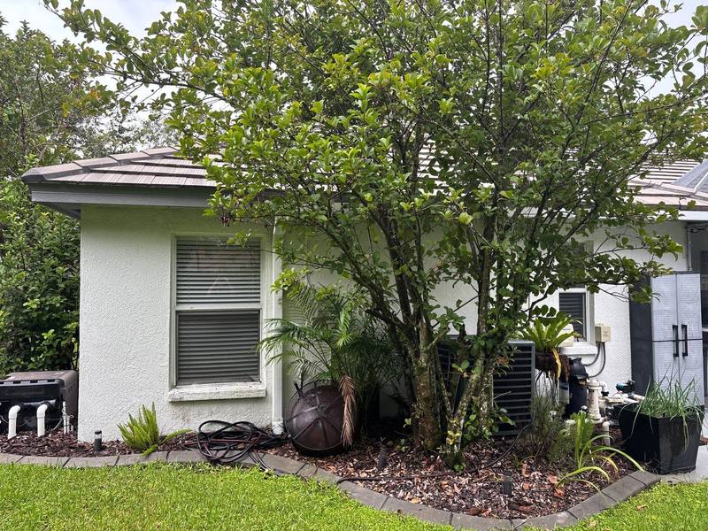 roofing project near Hickory Moss Pl in Tampa
